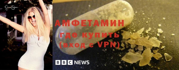 индика Аркадак