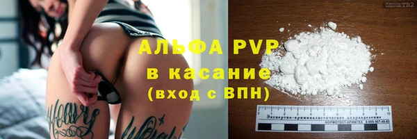 индика Аркадак