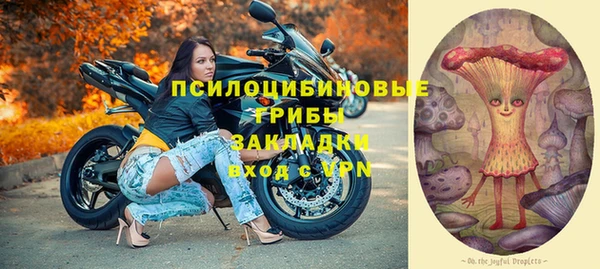 ГАЛЛЮЦИНОГЕННЫЕ ГРИБЫ Армянск
