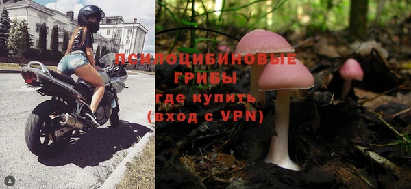 индика Аркадак