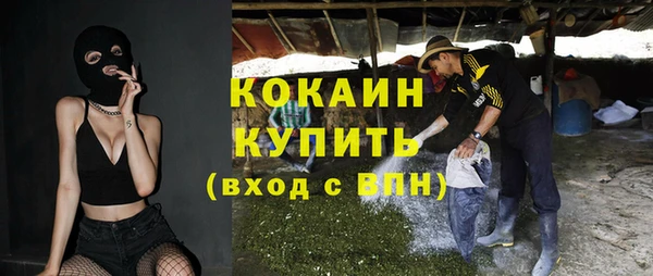 индика Аркадак