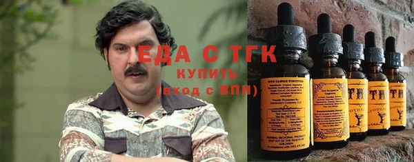 индика Аркадак