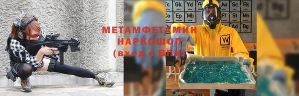 индика Аркадак