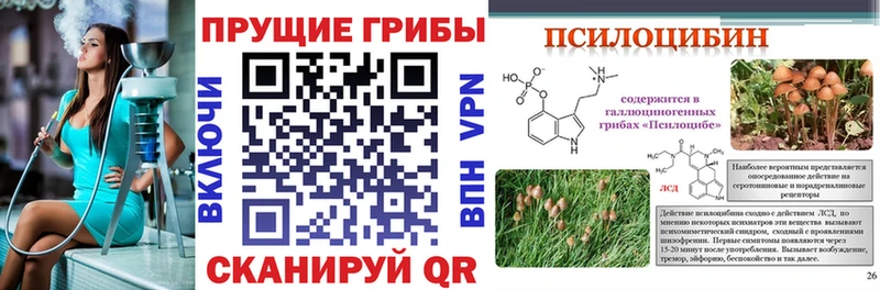 Галлюциногенные грибы прущие грибы  Асино 